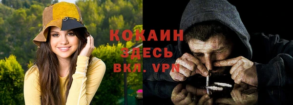 прущие грибы Абдулино