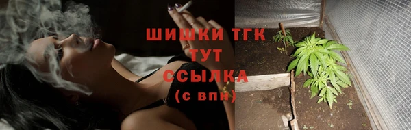 прущие грибы Абдулино