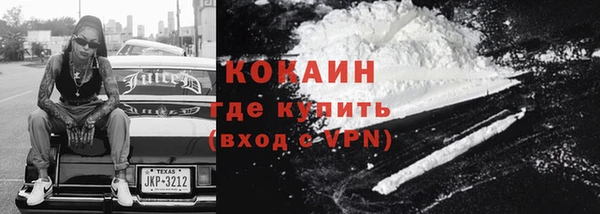 прущие грибы Абдулино