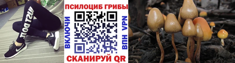 Псилоцибиновые грибы Cubensis  Карталы 